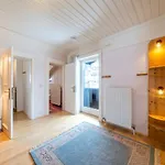 Heidi-alm בקתה Falkert