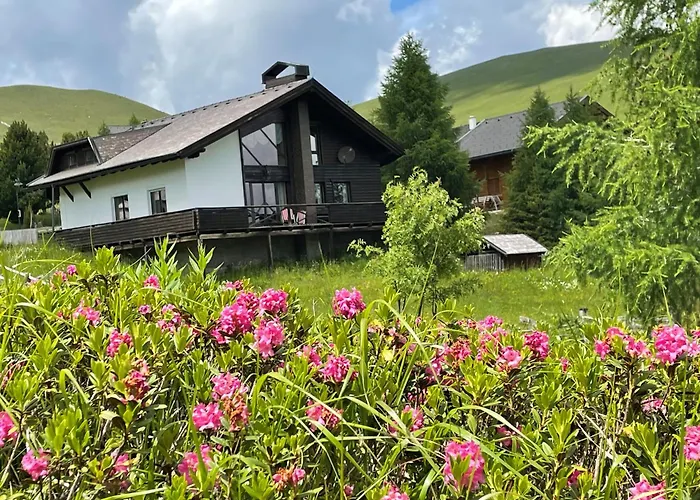 Heidi-alm Domek alpejski